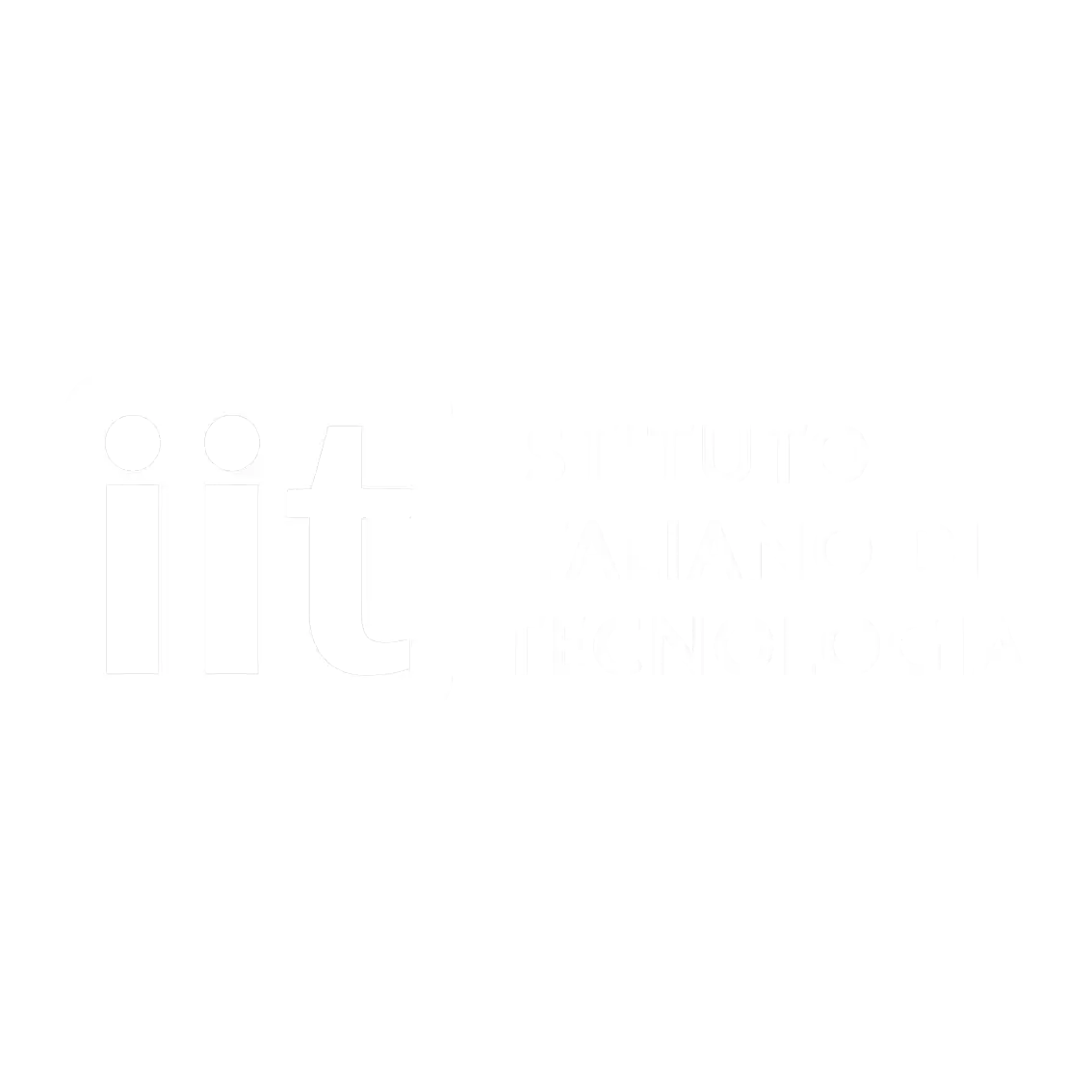 Logo Partner tecnologico IIT